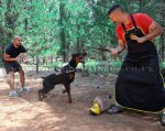 Dog Trainer's Apron Made of Leather for Dog Training_4