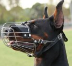 Doberman Dog Muzzle Basket UK Bestseller Soft Padded Wire Cage