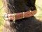 Handmade Dog Collars with original spiked design