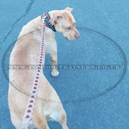Designer Dog Lead Leather Chain Braided with Soft Handle
