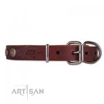 Dark Brown Leather Dog Collar | Exclusive Dog Collar UK FDT Artisan_3