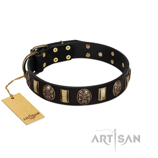 Gold and Black Dog Collar with Skulls and Plates FDT Artisan