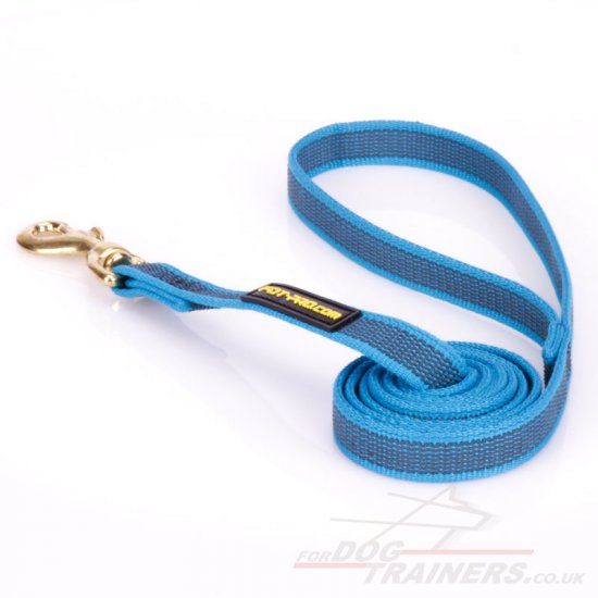 Modish Nylon Dog Training Lead For Dog's Daily Activities 0.8" Width