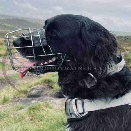 High-Quality Metal Wire Dog Muzzle "For Everyone" For Daily Walks