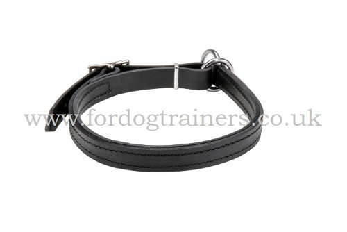 2 Ply Leather Dog Collar Choker