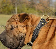 Shar Pei Dogs Collars Braided Style