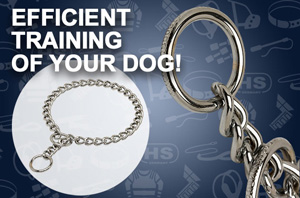 dog chain collar