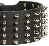 Spiked Dog Collars