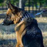 3 inch Wide Leather Dog Collar for German Shepherd