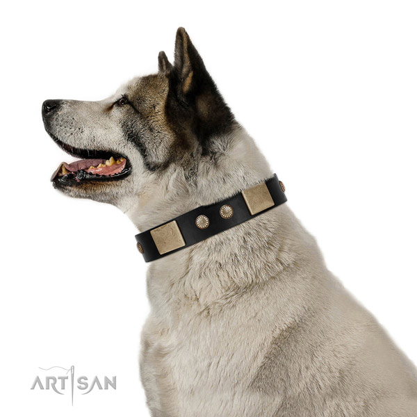 Akita Iny Dog Collars for Big Dogs