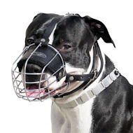 Padded Staffordshire Bull Terrier Muzzle with Perfect Airflow