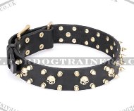 Wide Leather Dog Collar with Skulls and Spikes from FDT Artisan