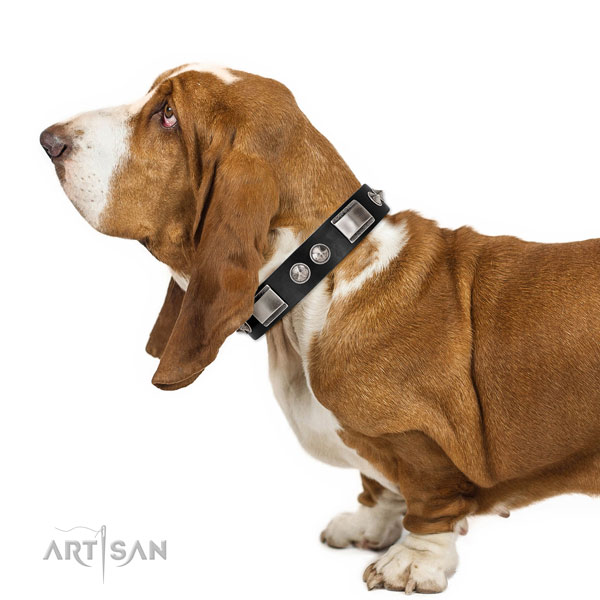 Designer Leather Dog Collars UK