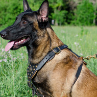 Belgian Malinois Harness for Dogs | Leather Dog Harness for Sale