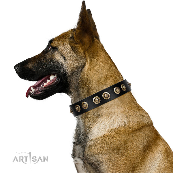 Smart Dog Collar for Belgian Shepherd Dog