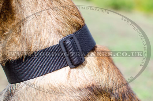 nylon dog collars for Belgian Malinois for sale UK