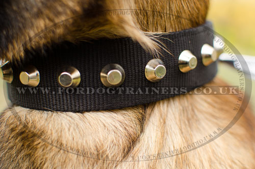 belgian malinois dog collars