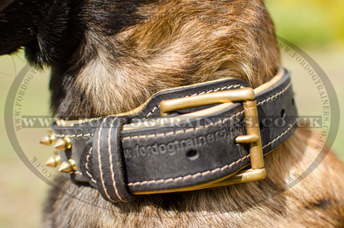 royal dog collars with buckle