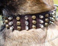 spiked dog collars