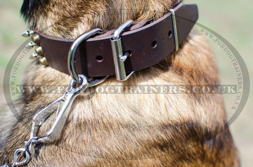 belgian shepherd malinois collar