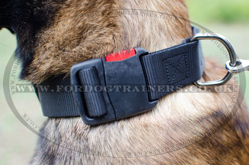 nylon dog collar with buckle for Belgian Shepherd Malinois UK