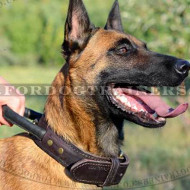 Dog Leather Collar with Handle for Belgian Malinois