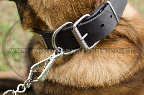 dog collar for Belgian shepherd UK