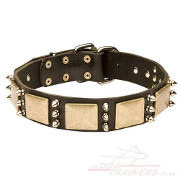 spiked dog collars