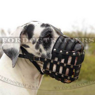 Great Dane Muzzle UK Best for Large Dogs | Soft Dog Muzzle
