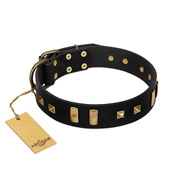 "Fit For Royalty" Charming Black Real Leather Dog Collar With Brass Adornment FDT Artisan