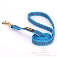 Modish Nylon Dog Training Lead For Dog's Daily Activities 0.8" Width