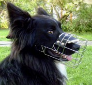 wire dog muzzles