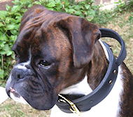 2 Ply Leather Dog Collar with Handle