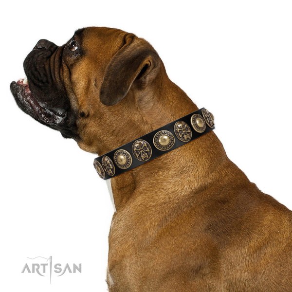 Artisan brass studded dog collar for Boxer