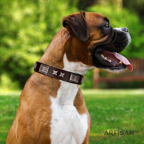 dark brown leather dog collar with belt buckle