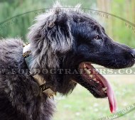 Caucasian Shepherd Black Leather Dog Collar with Studs