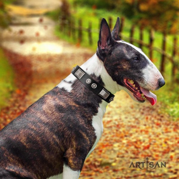 Black Leather Dog Collar with Studs for Bullterrier