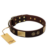 "Bow-Wow Effect" FDT Artisan Brown Leather Dog Collar With Old Bronze-Like Adornment