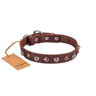 Extravagant Brown Leather Personalised Dog Collar FDT Artisan