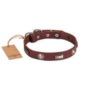 Pretty Brown Dog Collar For Dog’s Safe Walking FDT Artisan
