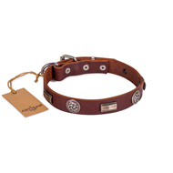 Studded Chocolate Brown Leather Dog Collar For Active Walking