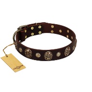 "Snazzy Paws" Elegant Brown Leather Dog Collar With Skulls FDT Artisan