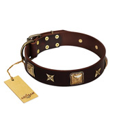 "Choco Dreams" Dark Brown Leather Dog Collar with Brass Studs FDT Artisan