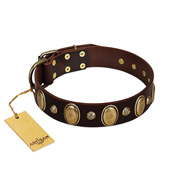 "Natural Grace" Nice Brown Leather Dog Collar With Brass Adornment FDT Artisan