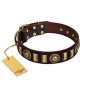 "City Hall" Fashionable Brown Leather Dog Collar with Brass Studs FDT Artisan