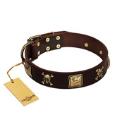 "Crazy Pirate" Exclusive Brown Leather Dog Collar With Brass Skulls FDT Artisan