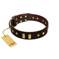 "Blinking Illusion" Extraordinary Brown Leather Dog Collar With Shiny Studs FDT Artisan