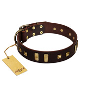 "Choco Delight" Awesome Chocolate Brown Leather Dog Collar With Brass Hardware FDT Artisan