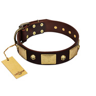 "Heavy Metal" Dark Brown Leather Dog Collar With Glossy Studs FDT Artisan