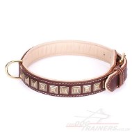 "Pyramid" Handmade Brown Leather Dog Collar Adorned With Brass Studs